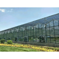 Commercial Intelligent hydroponic glass greenhouse